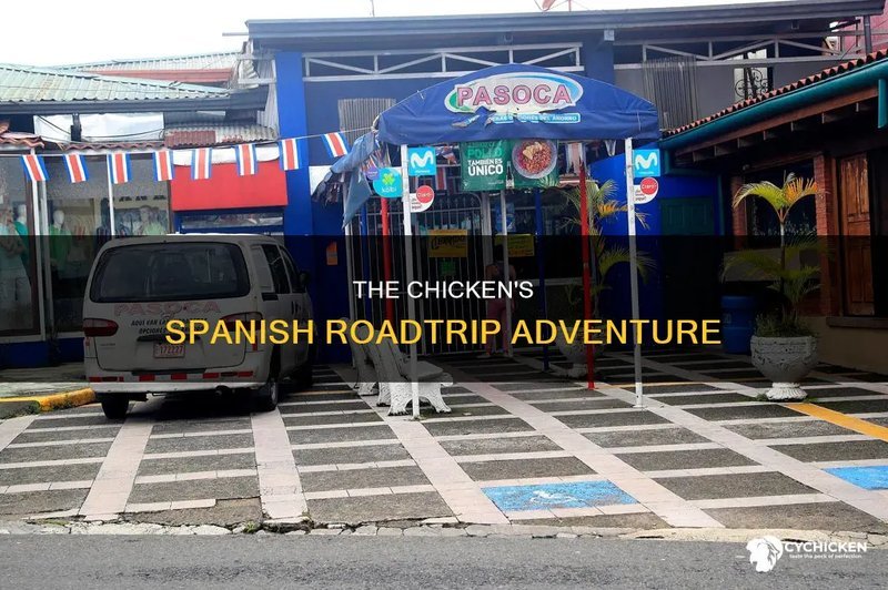 Introducción para los que nunca han oído hablar de Chicken Road